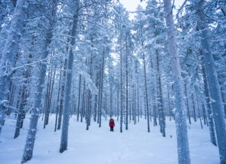 30 Destinations that are Perfect for the Month of January