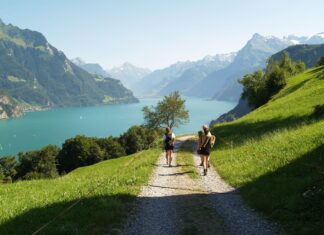 Lake Lucerne Hiking and Outdoor Adventures