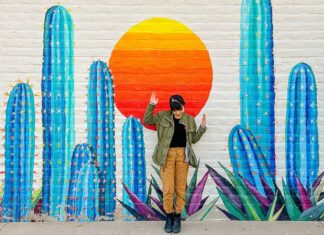 How to Spend the Perfect 2-3 Day Weekend in Phoenix Itinerary