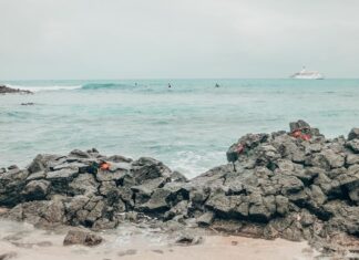 What to Do, Where to Eat, & Where to Stay on Santa Cruz