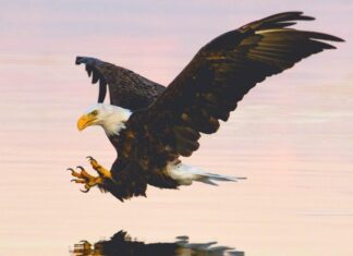 25 Perfect Places to Visit in the USA in February