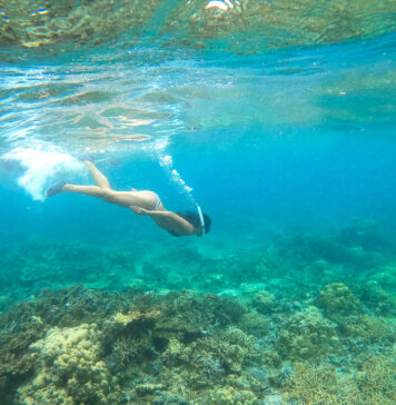 El Nido Tour C: Is the Group Tour Worth It?