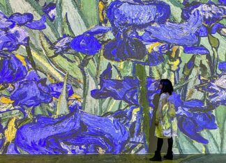 Immersive Van Gogh Exhibit – What You Need to Know » Local Adventurer