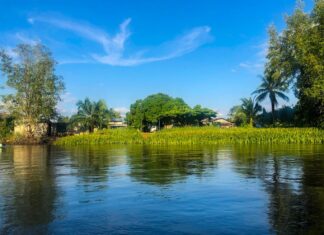 Corcovado National Park (2023 Guide)