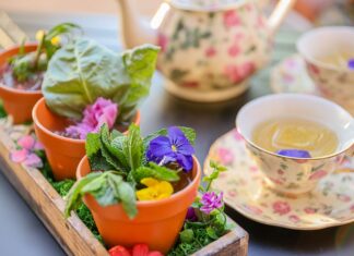 7 Best Things to Do at Green Valley Resort Las Vegas » Local Adventurer