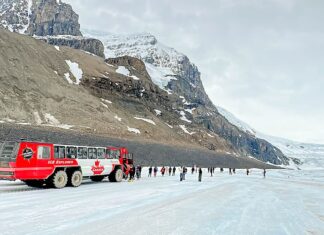 What You Need to Know Before Visiting Athabasca Glacier Columbia Icefield Glacier Adventure