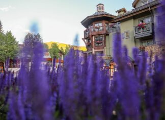 15 Exciting Things to Do in Vail in Summer » Local Adventurer