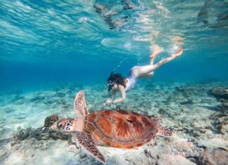 The Ultimate Two-Week Bali Itinerary