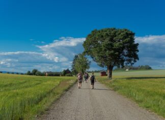 5 Reasons To Walk the Gudbrandsdalsleden Path in Norway