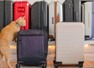 The Best Carry On Luggage 2023 + How to Pick the Right Suitcase for You