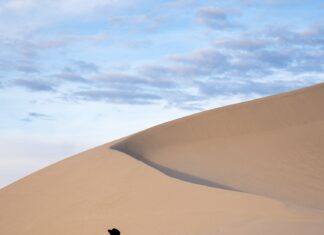 Pakt Travel Backpack Review – Is It Worth Buying?