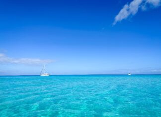 20 Magical Things to Do in Bimini, Bahamas