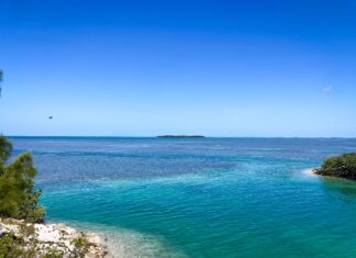 Florida Keys Road Trip: One-Week Itinerary (2023)