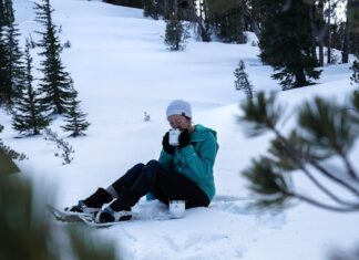 Are Stanley Coffee Mugs and French Presses Worth The Hype? I Tried them to Find Out!