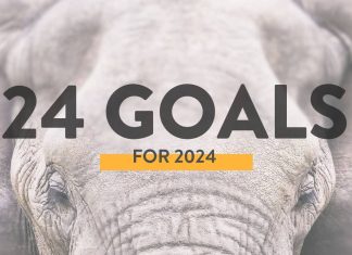 24 Goals for 2024 – Year of Reinvention » Local Adventurer