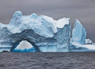 17 Things You Need to Know Before Visiting Antarctica Travel Tips » Local Adventurer
