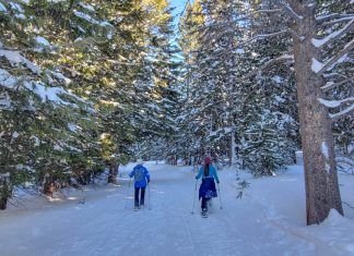 Winter Things to Do in Beaver Creek for Non-Skiers • Ottsworld Unique Travel Experiences