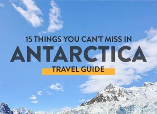 15 Epic Things to Do in Antarctica Travel Guide » Local Adventurer
