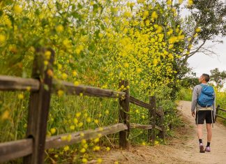 7+ Fun Things to Do in Buena Park CA » Local Adventurer » Travel Adventures in Las Vegas + World Wide