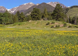 5 Best National Parks to Visit in June 2024 » Local Adventurer » Travel Adventures in Las Vegas + World Wide